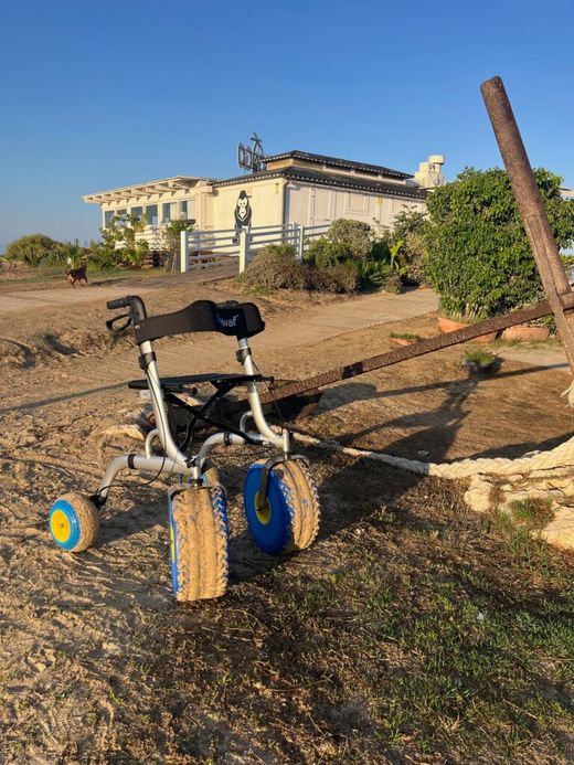 Andador, caminador rollator City Beach