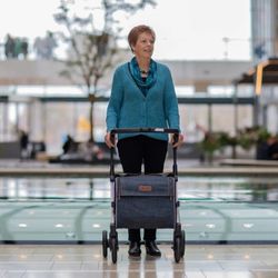 Andador carro de compra Rollz Flex