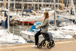 Andador carro de compra Rollz Flex