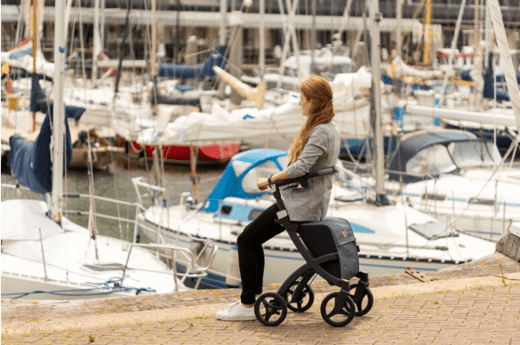 Andador carro de compra Rollz Flex