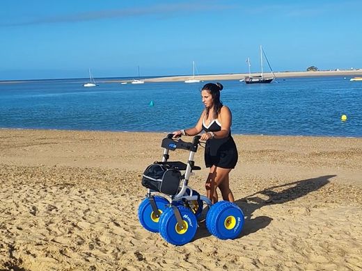 Andador con ruedas beach xl