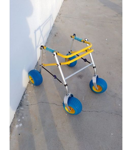 Andador infantil xs playa