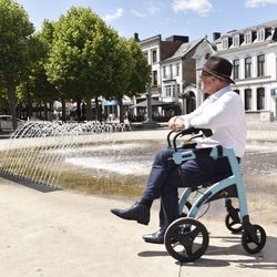 Andador, rollator y silla de ruedas Rollz Motion