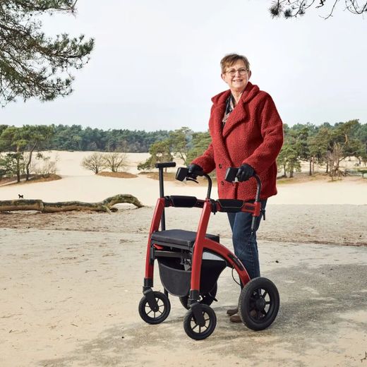 Andador y silla de ruedas Rollz Motion Performance