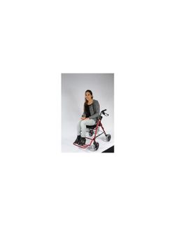 Andador y Silla de traslado 2 en 1