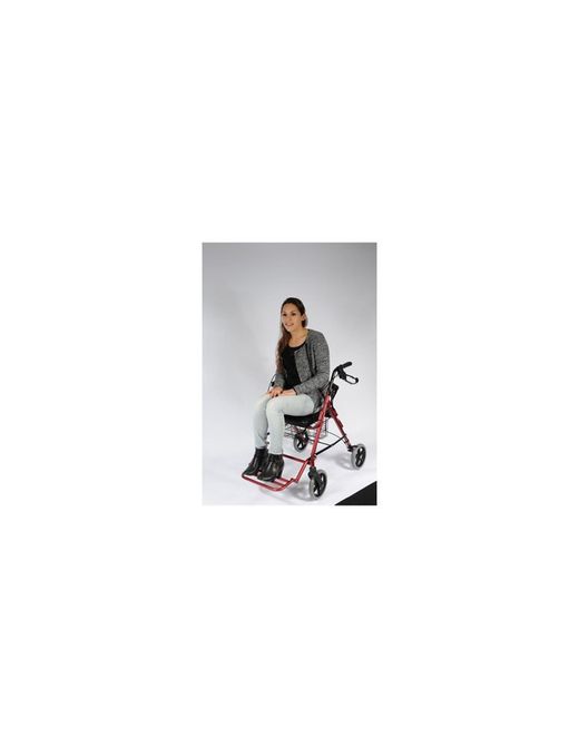 Andador y Silla de traslado 2 en 1