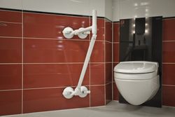Apoyo QuattroPower asidera de baño  - 565 mm - con mango
