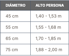 Balones de terapia