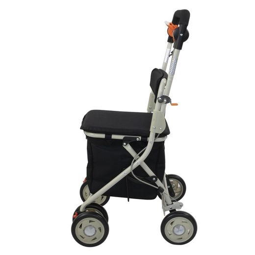 Carro de compra con asiento, Coliseo
