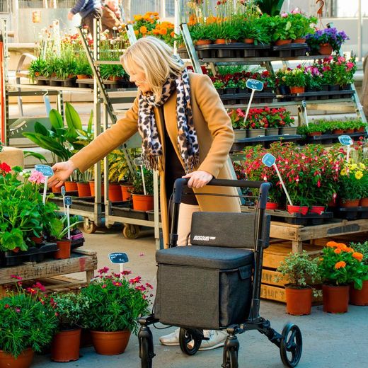 Carro de compra con asiento Magnum Shop