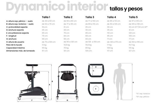 Dynamico caminador, andador adultos interior