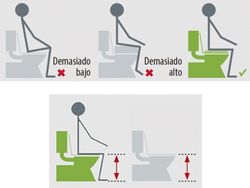 Elevador w.c. "hi-loo" de 6 o de 10 cms
