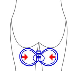 Entrenador suelo pelvico