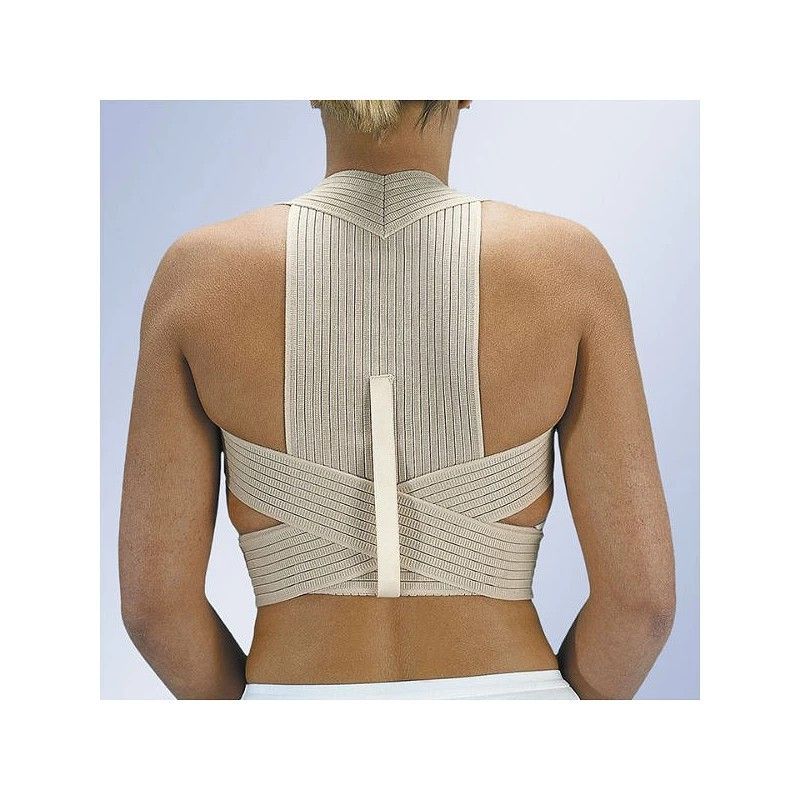 Espaldillera transpirable et210 1