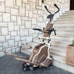 Gecko Sube Escaleras