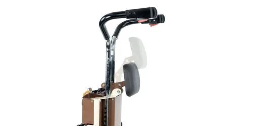 Gecko Sube Escaleras