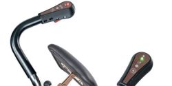 Gecko Sube Escaleras