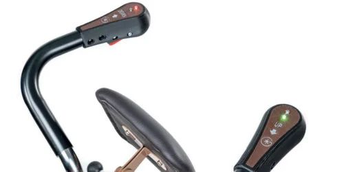 Gecko Sube Escaleras