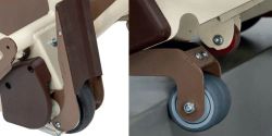 Gecko Sube Escaleras