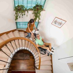 Gecko Sube Escaleras