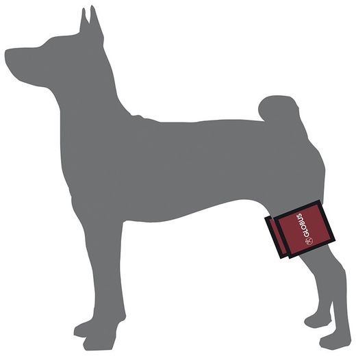 Magnetovet 200 pro