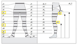 Panty mediven® cotton con puntera abierta