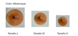 Prótesis de pezon y de areolas