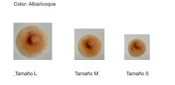 Prótesis de pezon y de areolas