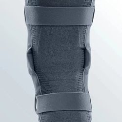 Rodillera genumedi pro