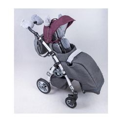 Silla de paseo pci grizzly de Wellell