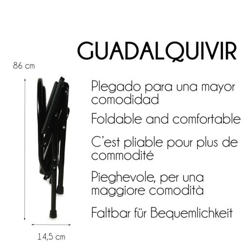 Silla WC inodoro, Plegable, Acero cromado Guadalquivir
